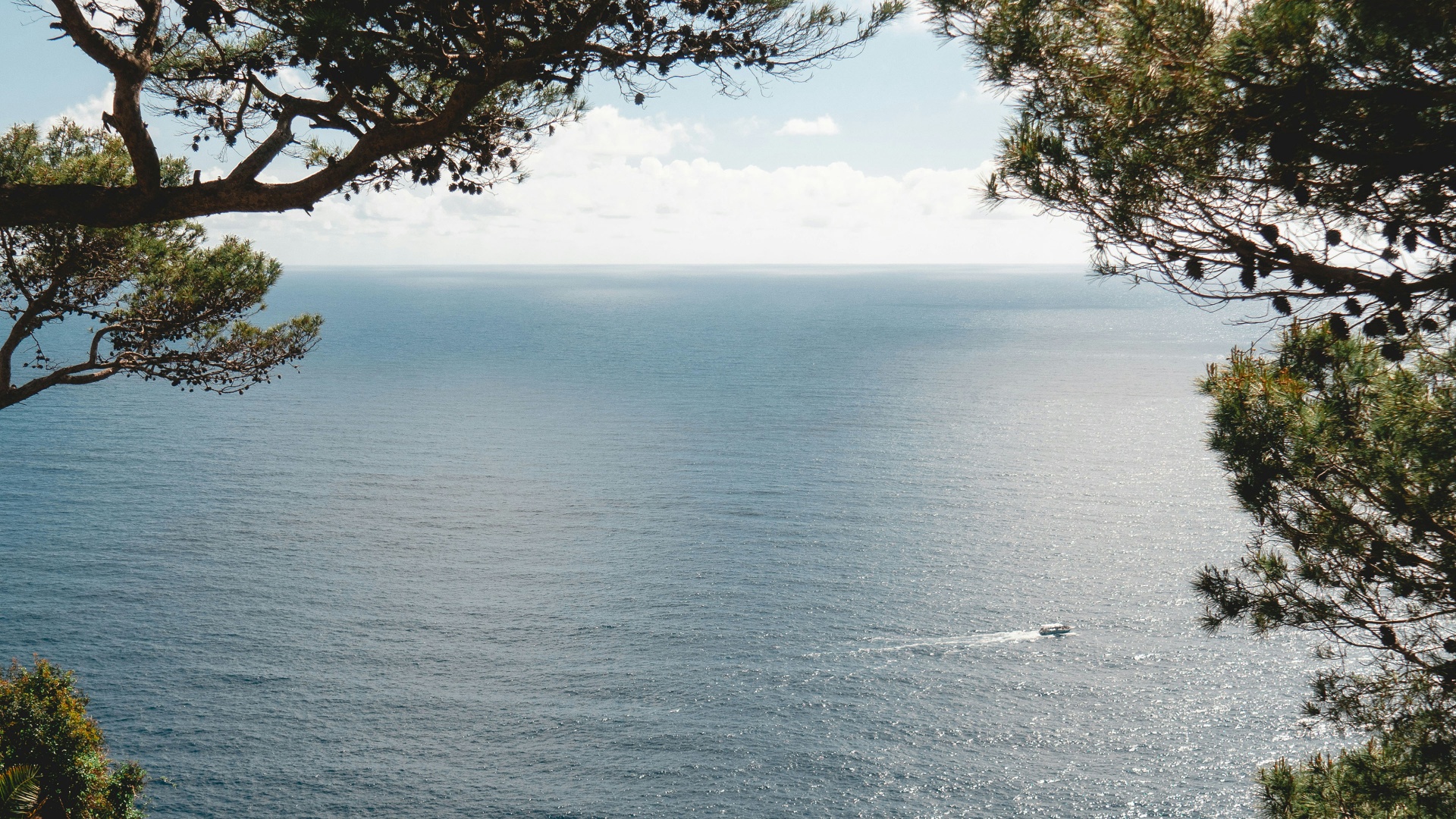 O nama — Porta Adria agencija za nekretnine